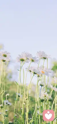 真正的努力不是想著達到預期的結果，而是全力以赴再行動，真正的成長不是你想成為誰，而是成為最真實的自己。所有的努力，成長，跟行動都是成正比的。配圖