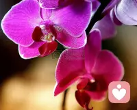 當我們批判別人的時候，我們的內心是不平靜，是不和諧的，因為我們認為別人“不對”這種感覺讓我們深陷憤怒和分離。所以為什么說別人是自己的一面鏡子，你內心分離和憤怒的時候，你自己本身就有被別人批判的地方。配圖