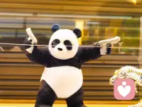 活在當下，就是要面對當下生命中的任何狀態，不退縮，不抗拒，不批判，來什么體驗什么。配圖