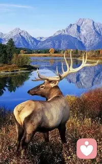 愛自己最重要的一點就是不要和自己較勁，不抗拒。接受自己在某些時候的脆弱和無能為力，臣服于生命的某些課題，并不是躺平，而是坦然接受、體驗、然后放下、離開，這是真正的臣服配圖