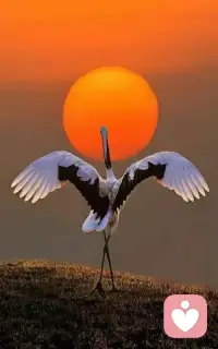 我本來就很差勁，我可以很差勁；這兩句話有啥區別？一個躺平、一個是接納！接納后心態放松，反而可以正常發揮，不接納一直較勁，是一種能量的內耗，反而讓自己不能真實的發揮。配圖