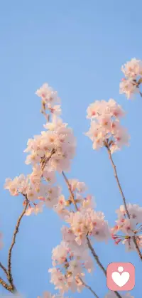 叔本華說過：“人性最特別的弱點(diǎn)，就是太在意別人如何看自己。”
你大可不必活得那么小心翼翼，那些困擾你的人和事，不過是你庸人自擾，而他人根本沒有放在心上。配圖