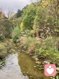 提升能量的方法，經(jīng)常去接觸大自然，這是天然“能量吧”，和花草樹木在一起，你會(huì)覺得世間除了你腦袋里面的“雜事一堆”外，還有很多很美好的東西，你會(huì)覺得自己很渺小，生命很短暫，珍惜感恩看到這些大自然的美好，心情會(huì)變好，能量也會(huì)提升。配圖