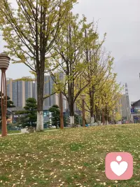 這個?界世?上，沒有任何?個一?人能為
你的幸福負責，我?必們?須有一種把
??己自?變的?整完?且幸福?能的?力，而不
是千方百計拽住一個人，試圖另從?他
那?獲里?得幸福。這是每個人在生命這
個大課堂里面的必修課。當你最后能
淡然的享受世界的美好的時候，你將會?現，幸?是福?你一?人個?的?事情，和外界
毫無?關系。配圖