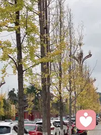 人的命运有三次转折点：
原生家庭，夫妻伴侣，自我觉醒。
1.原生家庭带给你的伤害不是你的错，但摆脱这些成为一个更好的人是你的责任，与其把人生的苦难都归因于家庭，不如把重塑自我的权利牢牢抓在手里。 

2.心理学上，有个“同频共振效应” ，相爱的两个人，在思想、意识、言行、精神、观念等方面有着共鸣和协同的状态，你的伴侣，其实也在潜移默化地影响着你的命运。 积极正能量的伴侣，两个人的共同目标一致，则互相成就，相互扶持，共同进步，日子也会越来越好；消极负能量的伴侣，两个人 因为一些鸡毛蒜皮的小事吵架，最后日子不仅越来越糟糕，彼此的人生也会被对方消耗。 
最好的夫妻关系，莫过于：彼此同频，双向付出。 就像宫崎骏说的：“ 你选择和谁在一起，就是选择了一种生活方式和价值观。” 

3.有人说：中年是人生的分水岭。 
中年以前，大家浑浑噩噩。白天，匆匆忙忙赶去上班，忙完后背着一身疲惫回家。 晚上，打开手机，车贷、房贷、水电费……满满当当的账单，就像洪水一样，让人不得喘息片刻。 
中年担忧孩子的未来，担忧着日渐老去的父母，又为各种生计紧张，只能借着短视频、熬夜来麻痹自己。 可随之而来的，是更加强烈的空虚感，午夜梦回，会冷不丁地问自己：你还有机会改变吗？ 
大部分人都觉得：人生都已经虚度了三四十年，到这把年纪，改变不了了。其实，人只要还有破局的勇气，改变就永远不晚。 
当我们被车子、票子、房子这些现实所裹挟，一味抱怨，只会在生活的泥潭中，越陷越深，如果尝试改变，反正最差的结果也就是现状。 
从最简单的改变开始： 
多读书：提高自己的认知；不断更新知识库； 
多学习：精进自己的技能；拥有更多的机会；
多运动：增强自己的体能；养成健康的习惯。 

中年犹如人生半坡，如果你停止就是谷底，如果你还在继续就是上坡，与其一直犹豫着停滞不前不如把自己一寸一寸地拉上来。

 “真正改变命运的并不是机遇而是我们的态度。”不管你处在哪个阶段都请不要放弃改变自己认知觉醒的机会。配图