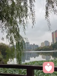 感恩节，你最应该感谢的一个人就是经历过生命中艰辛困难的你自己。感恩自己承受了一切，感恩自己可以难过 可以流泪，感恩自己流完泪后还可以继续走下去，感恩自己主动去学习，感恩自己得以成长，活出智慧与勇气。
然后，感恩自己的父母，感恩你生命中的每一分钱，他们一切你觉得可以感恩的。通过感恩，把痛苦转化成祝福，你会平静下来；通过报怨，把痛苦泛化，你会平静不下来。配图