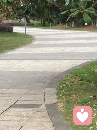 人生就是一個游樂場，我們都是來體驗的。接受自己身上灰暗的部分，原諒自己的遲鈍和平庸，允許自己出錯，接受自己的無能為力，接納有些人命就是比你好，接納世事無常，事與愿違，你將獲得內心的平靜，不再糾結擰巴。對你傷害最大的，不是別人插在你身上的刀，而是你經常會把那刀拔出來看一看，然后很生氣地插回去。配圖