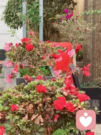 林语堂说：“平凡者，就是平顺、安常、知足，平凡人的一生，就是平和知足的一生。”
一个人能接受自己的平凡，才是这个世界最大的勇敢！配图