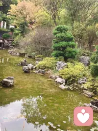 当你背负太多的时候，其实很难负重前行，这时，不管要的不要的，统统扔掉，体验一下轻装上阵的感觉，这会让你换得一丝喘息和充电，然后，继续捡起那些丢不掉的，再背起来。也许，这时又是另外一番体验，而不再是负重。配图