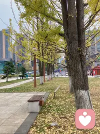 你想證明自己的時候，其實內在是匱乏的，所以要向外抓取，希望外界能認可承認你，這是典型的向外求，但是所有的向外求都是不受控制的。你唯一能控制和管理好的只有自己。當你自己的內在認可自己、平和而理解這個世界的時候，不需要外界給你任何的評判和承認，我就是我，篤定的活著的自己，和別人無關。配圖