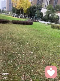 每天出去走走，接触下自然的能量、也是增加自己能量的一个方法。配图