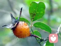 人感到焦虑的一个重要原因是我们在
避免失败，也就是说避免失败的想法
让我们感到焦虑更甚于失败本身带给
我们的焦虑。心理学家海灵格认为：
解决一切烦恼的根本在于抛弃内心的
恨与恶，对一切抱有爱与感恩的心。
无论自己的过去怎样，现在都要学会
接纳自我，接受自己的过去，并对过
去的经历说谢谢。对所拥有的一切抱
有一颗感恩的心，这样才可能化解焦
虑、恐惧、怨恨等等负能量。要学会
这一点是很不容易的，需要长时间的
反思、领悟和修行。配图