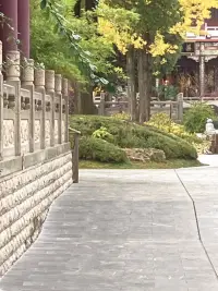 只要你對父母的感情很強烈（不論順從還
是抵觸），實際上父母就仍然緊緊的控制
著你的感受和行為，你仍然賦予了他們
在情感上折磨你的權利，使得他們可以
繼續控制你。配圖