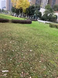 德國家庭治療大師海靈格:“我們付出的時候，就會覺得有權利;我們接受的時候，就會感到有義務?！碑斠粋€人在關系中只管付出但不考慮對方感受的時候，他其實已經越界，他是把自己放在了很高的位置，覺得自己無所不能，在關系中問心無愧?？墒牵愀冻龅脑蕉啵邮艿囊环皆接X得不舒服，因為每個人本質上都不想比別人差，當你付出的時候，你顯示了你的優越感，你的居高臨下，不管對方要不要，你都給予，這會讓對方覺得被羞辱，甚至萌生恨意。他會覺得你在表達你比他好，比他能干。最終產生受不住而逃離或背叛。這就是受助者惡意。親密關系親子關系中，越付出越被討厭，就基于這樣的心理機制。配圖