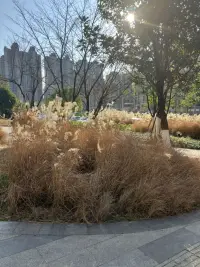 內在關系的四種模式：
1）我不好，你好：這是一種自我貶低，是討好型的人格，這種人認為討好別人才可能獲得 認可，不被尊重有時候還被欺負，爛好人，容易沒有自我。
2）我好，你不好：這種心理的話外音是“一切都是你的錯，和我無關，都是你造成的。”這種人比較強勢和控制，是一種典型的向外歸因，如果能轉向內歸因，會快速成長。
3）我不好，你也不好：這種人充滿指責抱怨、典型的受害者心理。我不好是因為你造成的，我不好，但造成我不好的你更不好。很容易發展成偏執型人格。
4）我好、你好：這是一種彼此平等、尊重，追求共贏的心理。這種人充滿智慧和包容。
在不同的情形下，每個人身上都有這幾種模式的切換、但一定有一種模式是占主要地位的。看看自己想要哪種模式呢？配圖
