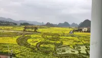 應(yīng)無(wú)所住，而生其心！突破二元對(duì)立的思維，沒(méi)有“住”，而升起吾性自足的那個(gè)我，這與活在當(dāng)下哪個(gè)更高呢？配圖
