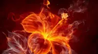 所有抗拒的其實(shí)都是缺失的，當(dāng)你懂得允許的時(shí)候你才學(xué)會(huì)什么是臣服。成長(zhǎng)就是不斷的打破舒適區(qū)，當(dāng)缺失被填滿的時(shí)候，抗拒就變成接納、臣服，你會(huì)遇見(jiàn)新的自己。配圖