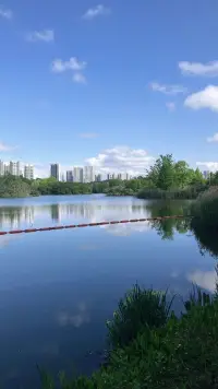 每天坚持这10件事：
①微笑：气质会越来越好。
②学习：能力会越来越强。
③适应：处境会越来越顺。
④理解：知己会越来越多 
⑤包容：生活会越来越美。
⑥欣赏：人际会越来越广。
⑦谦让：肚量会越来越宽。
⑧善良：世界会越来越净。
⑨感恩：心情会越来越好！
⑩问好:   向每个认识的人问好！配图