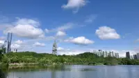 真正堅持到最后靠的不是激情，而是恰到好處的喜歡和投入。配圖