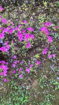 人，不能讓心情生病 人生過的是心情，生活活的是心態(tài)配圖