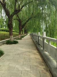 在最黑最黑的黑夜，在最深最深的谷底，才是最最接近真理的地方?配圖