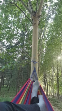 如果一個人完全依賴自己，所有屬于他的東西都存在于他自身，那么他不可能不幸福。——西塞羅配圖