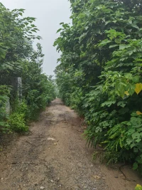 如果一個人完全依賴自己，所有屬于他的東西都存在于他自身，那么他不可能不幸福。——西塞羅配圖