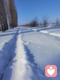 就想在零下14的室外走一走，所以我從溫暖的房間里走了出來！回頭看我留下的一排清晰的腳印，抬頭看看遠方白雪覆蓋的山頂，好像悟到點什么？