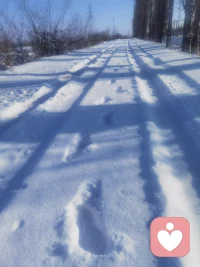 就想在零下14的室外走一走，所以我從溫暖的房間里走了出來！回頭看我留下的一排清晰的腳印，抬頭看看遠方白雪覆蓋的山頂，好像悟到點什么？