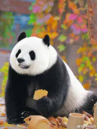 任何人所能追求的最光明的未來、最精彩的人生，只有在當(dāng)他全心全意投入自己熱愛的事業(yè)時才會實現(xiàn)。配圖