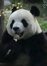 想要取得別人認(rèn)可的時候，幾乎所有人都會采取“滿足別人的期待”這一手段，這其實(shí)都是受“如果做了恰當(dāng)?shù)氖虑榫湍軌虻玫奖頁P(yáng)”這種賞罰教育的影響。
但是，如果工作的主要目標(biāo)成了“滿足別人的期待”，那工作就會變得相當(dāng)痛苦吧。因?yàn)槟菢泳蜁晃对谝鈩e人的視線、害怕別人的評價(jià)，根本無法做真正的自己。
——《被討厭的勇氣》配圖