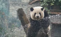 下雨恐懼癥屬于自然環境恐怖的一種，擁有這種恐懼癥的人可能在下雨天遭遇過不愉快的經歷，或曾接受過下雨意味著負面意味的教育，可是，下雨并不意味著他們心中所謂的生病、危險、死亡、拋棄，其實，雨意味著太多美好。
清潤風光雨后天，細雨騎驢入劍門，一汀煙雨杏花寒，是雨；
東風吹雨過青山、柳花驚雪柳，麥雨漲溪田，是也是雨；
女媧煉石補天處，石破天驚逗秋雨，是雨般天籟；
有時候，雨是萬物復蘇，是潤物無聲，雨意味的不是死亡，是重生。配圖