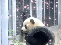 你的心中有個奇妙的過濾器，它過濾掉了百分之九十的珠貝金沙和星光，任百分之十的沙子云起飛揚，黃沙漫天，而你，一頭扎進黃沙里自糾自責(zé)自卑自我否定，你不安，你彷徨，認為自己糟糕透了，甚至躲在黃沙里不敢出來，這就叫心理過濾。
        當你彷徨在自我制造的沙漠中，認為自己糟透了時，不妨從容地坐在黃沙之上，仰頭看自己織下的滿天星光，之后，心平氣和面對那一地沙子，栽種上一顆顆綠植，也許，星光下的你，將收獲整個綠洲。配圖