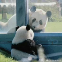 優越情結（superiority complex）是指阿德勒人格理論術語。與“自卑情結”相對。憑借虛假的優越條件表現優越感以掩飾自卑感的神經癥傾向。阿德勒認為，該情結是一個人對自己的無價值體驗和自卑情結的一種過度補償手段。
擁有優越情結的人，往往通過否定別人，pua和打壓別人來捍衛自己虛弱的自信心和優越感，結果往往事與愿違,遭到別人的反擊，進而加深ta的自卑情結。配圖