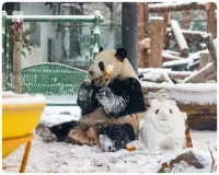 【采姐送給所有帶上人生枷鎖的朋友們】
我們是來享受和體驗人生的 ，不是窮其一生來維持毫無意義的完美人設的。
完美的智商，完美的學歷，完美的風度，完美的脾氣，好一個背叛人生的完美奴隸。
一個又一個人生的枷鎖，奪走了我們本該肆意盡享的快樂，恣意追逐的愛情，快意恩仇的豪情，和輕盈酣暢的靈魂。 
我們還年輕，本該放下工作后，快樂得活得像個草坪上打滾滾了一身泥、抓著一把吉他滿舞臺上嚎叫的孩子； 
我們還有試錯機會，哪怕一切化為烏有，也要冒險一搏的驚
險之旅多刺激；
在高山上大聲喊出來，在海邊沙灘上哭出來，在不屑的人面前罵出來；我們生來是自由的。
給生命加了這么枷鎖，親愛的自己，對不起；努力又自律了這么多年，親愛說自己，我愛你；讓自己活得這么辛苦，親愛的自己，請原諒；還好從明天開始，我把自己還給了自己，親愛的自己謝謝你！配圖