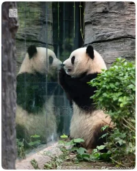 不要率先給自己貼標簽，然后陷入不斷自證的枷鎖中，你生而是自由的。配圖