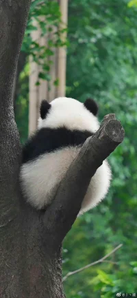 沒有一種批判比自我批判更強烈，也沒有一個法官比我們自己更嚴苛。
——《蛤蟆先生要看心理醫生》配圖