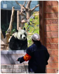 科技應當協(xié)助靈性發(fā)展，而不是像你們星球上現(xiàn)在那樣，將人們越來深地禁錮在一個物質(zhì)主義的世界里。
——《海奧華預言》配圖