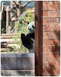 時間并不珍貴，因為它僅僅是一種幻想。當下才是最為珍貴的東西。
為什么？首先，因為它是唯一真正存在的東西，你的整個生命就是在這個永恒當下的空間中展開的，而這個永恒當下是唯一不變的常數。生命就是此刻，你的生命從來不會不在此刻，未來也不會。其次，當下是唯一可以帶你超越有限大腦的切入點，也是唯一可以帶你進入永恒的本體領域的關鍵。
——《當下的力量》配圖