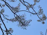 總是在緊張與焦慮中去追尋一切，其實是對生命的揮霍和對自己的辜負。配圖