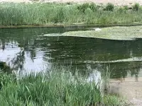 早
心若清凈，便能神情目明，自在安然。配圖