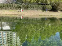 京城冬日，暖暖阳光，跑步去吧

夕阳下，一切美好的事物缓缓消逝
而一个最好的“自己”，正冉冉升起
希望你遇到最好的自己