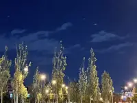 结束了咨询
想到这样话语：

当你感觉孤独或深处黑暗中时
我希望我可以让你看见
你的真我所散发出来的炫目光芒
