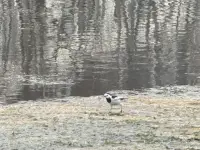 早安，晨光