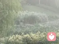 京城，雨后，晨霧，j o g g  i n g