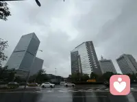 京城，秋雨绵绵

寒露凝霜天愈冷，心炉长明暖自生。