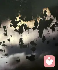 Sometimes in my tears I drown.
But I never let it get me down.
So when negativity surrounds,
I know some day it'll all turn around.配圖