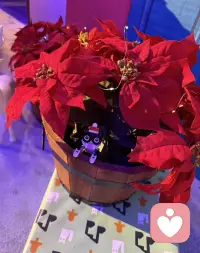 If something feels too hard to start, it just means that the first step isn't small enough.

如果有些事情感觉太难开始，只意味着第一步还不够小