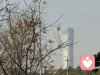 一年将尽，岁寒心暖。