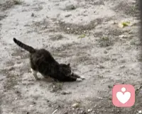 一年将尽，岁寒心暖。